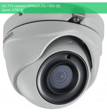 HD-TVI камера HiWatch DS-T503 (B)